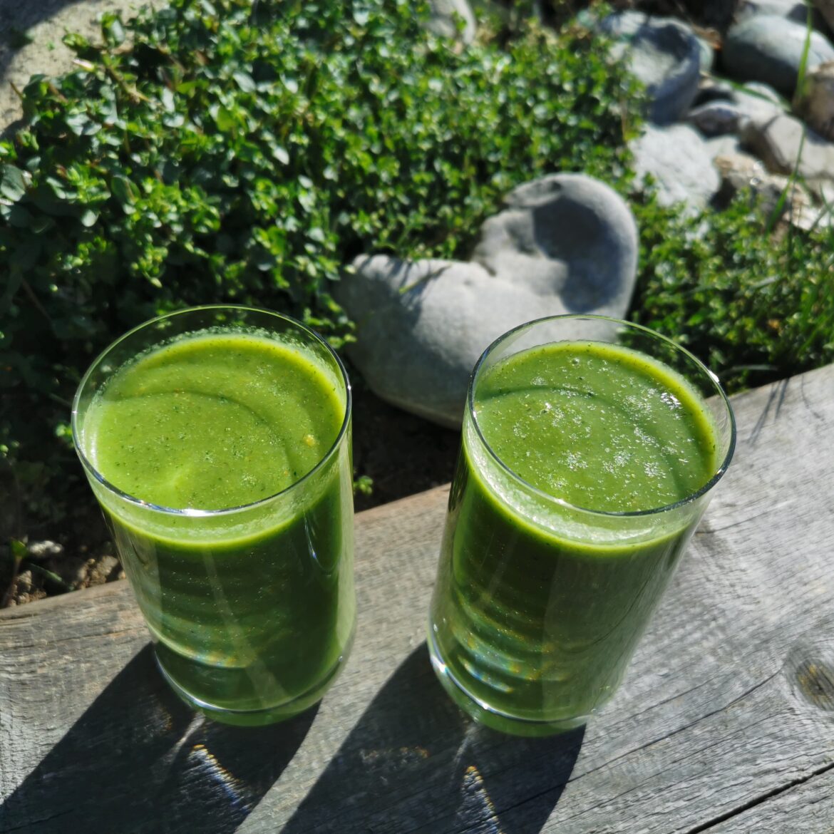 Wildpflanzen-Smoothies